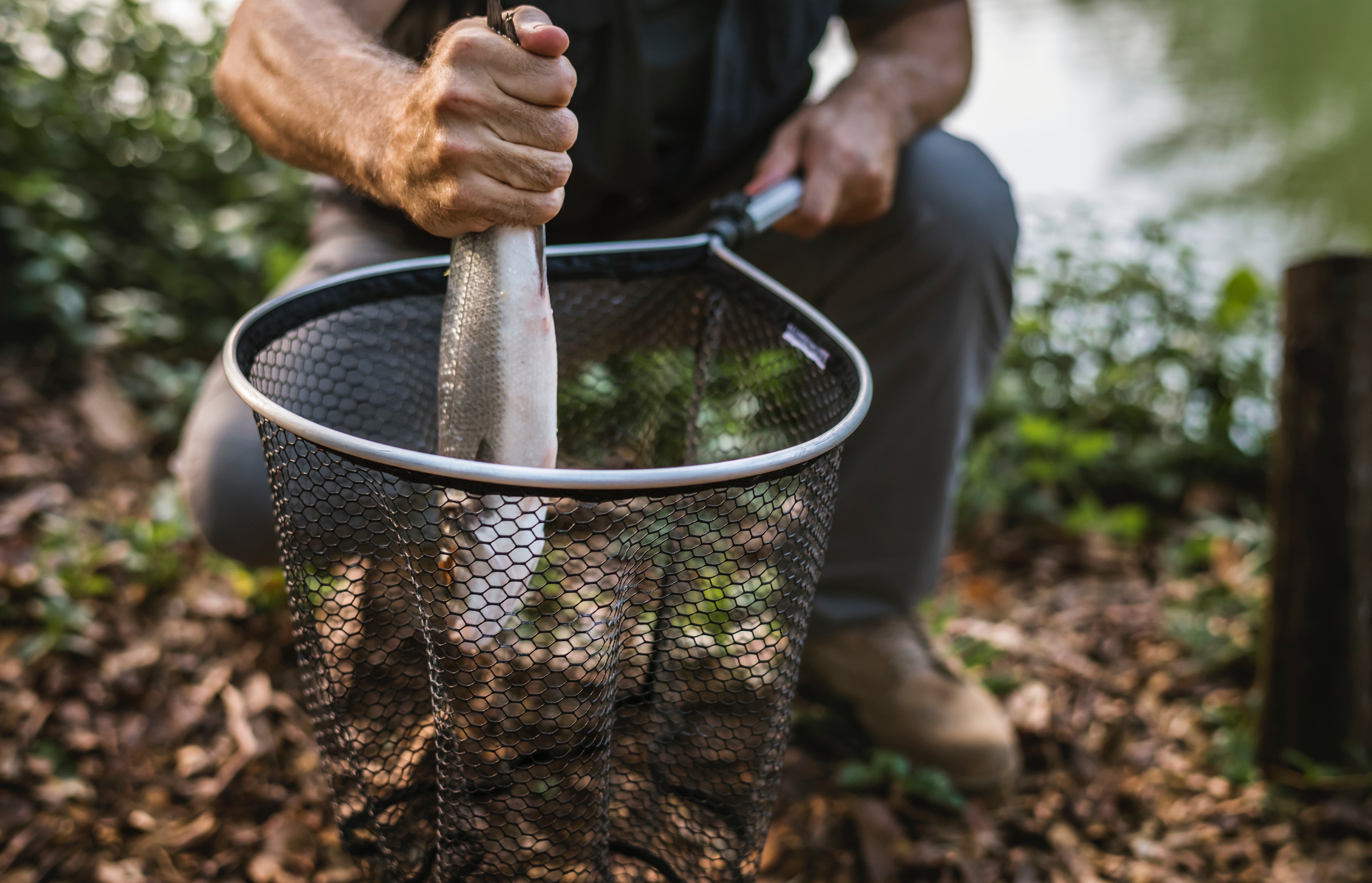 What Are The Career Options In Fishery Sciences And Aquaculture In Our Country And What Are The Courses Which Can Be Joined?