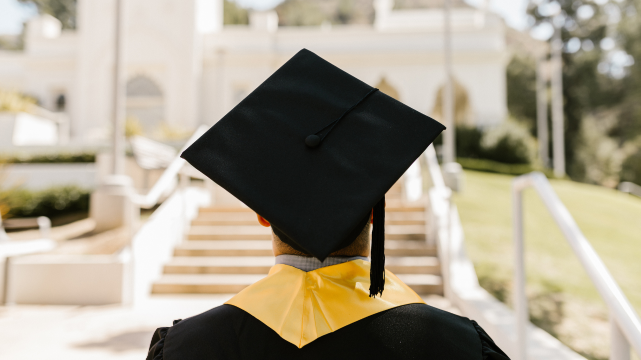 Career Options after Graduation in 2024