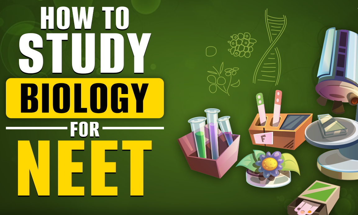 How to Study Biology for NEET 2024 UG Exam?