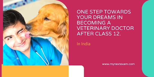 One Step Towards Your Dreams In Becoming A Veterinary Doctor After 12