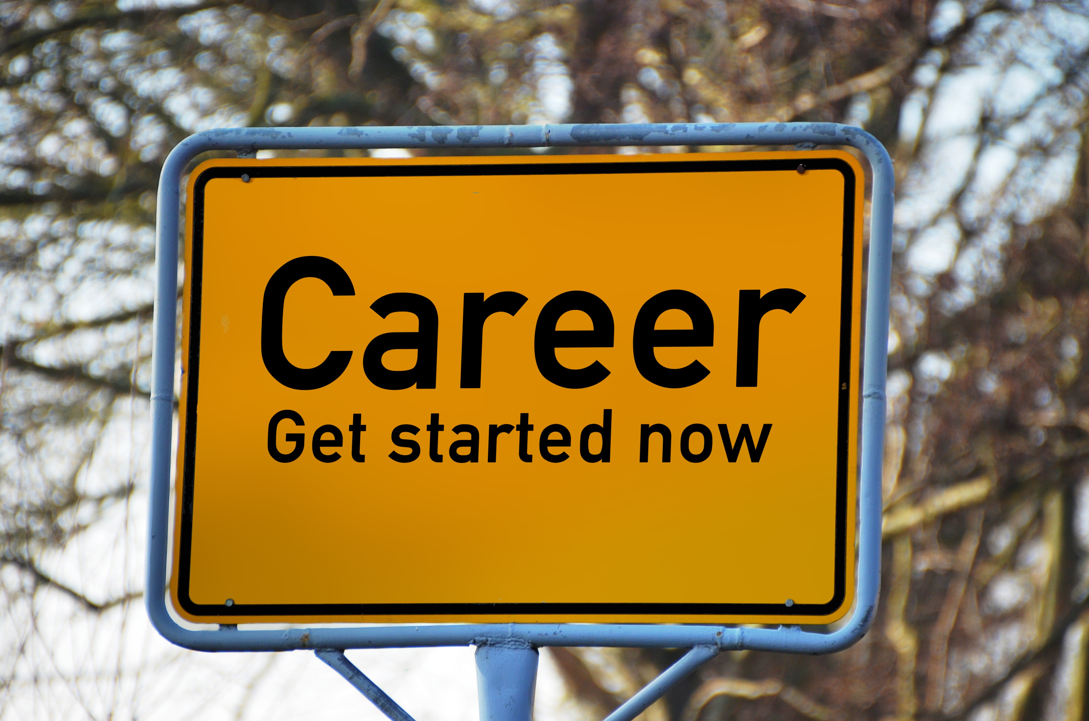Process for Online Career Counseling on www.mynextexam.com