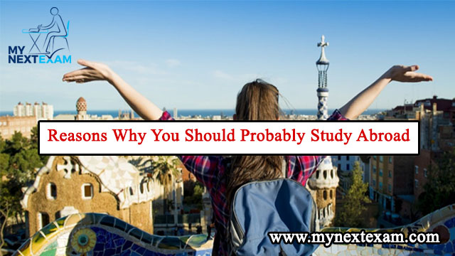 Reasons Why You Should Probably Study Abroad