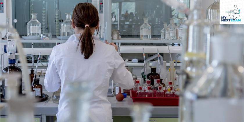 Research and Doctoral Opportunities Post M.Sc Abroad