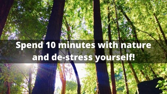 Spend 10 minutes with nature and de-stress yourself!